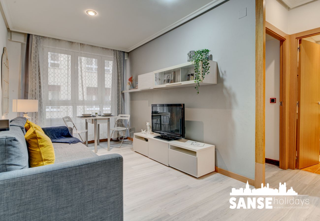 Apartment in San Sebastián - Apartamento Karri by SanSe Holidays