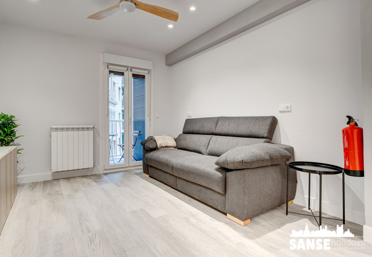 Apartment in San Sebastián - Apartamento Amara by SanSe Holidays