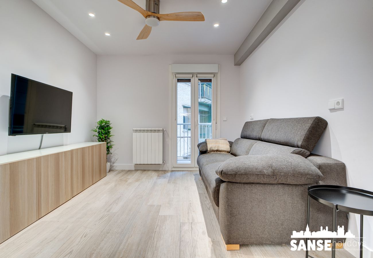 Apartment in San Sebastián - Apartamento Amara by SanSe Holidays